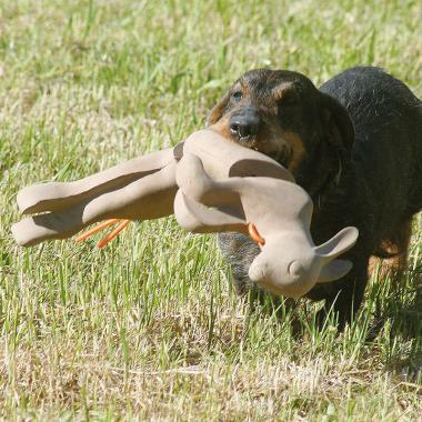 WAIDWERK APPORTIER-Nyúl
